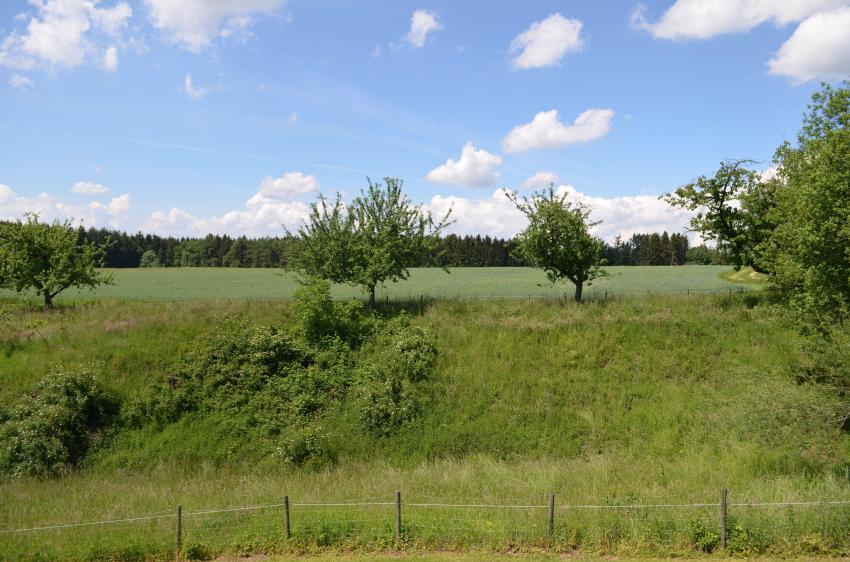 Ausblick vom Tagungsraum "Restaurant" und von 8 Hotelzimmern 