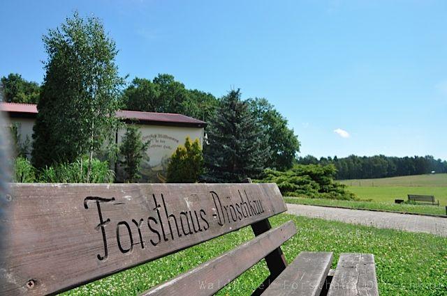 Waldhotel Forsthaus Dröschkau